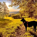 Habitación en casa particular Schönes Mit Küche Und Bad Im Taunus *