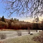 Schönes Mit Küche Und Bad Im Taunus * Waldsolms