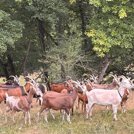Schoenes Mit Kueche Und Bad Im Taunus Waldsolms