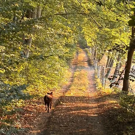 Accommodatie bij particulieren Schoenes Mit Kueche Und Bad Im Taunus *