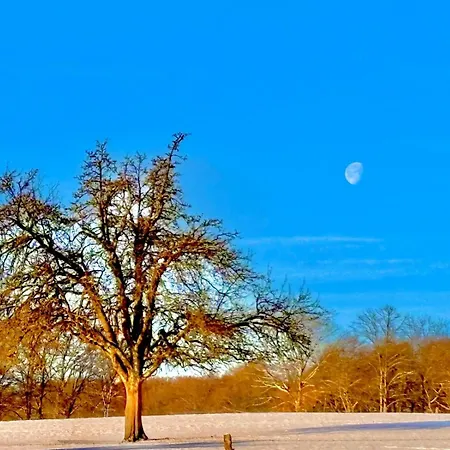 Schoenes Mit Kueche Und Bad Im Taunus *