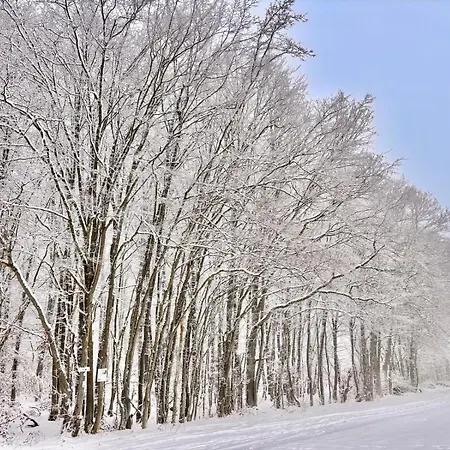 Ubytování v soukromí Schoenes Mit Kueche Und Bad Im Taunus *