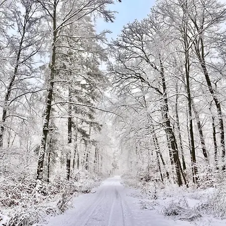 Ubytování v soukromí Schoenes Mit Kueche Und Bad Im Taunus Waldsolms