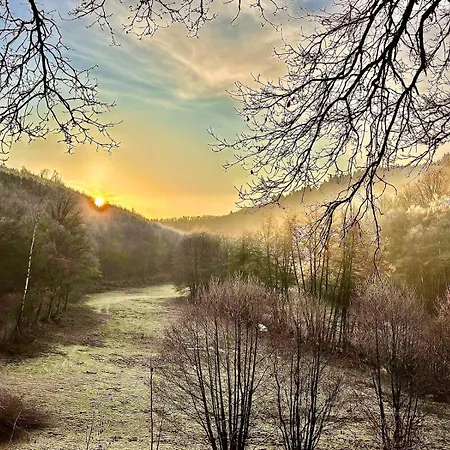 Schoenes Mit Kueche Und Bad Im Taunus Alloggio in famiglia