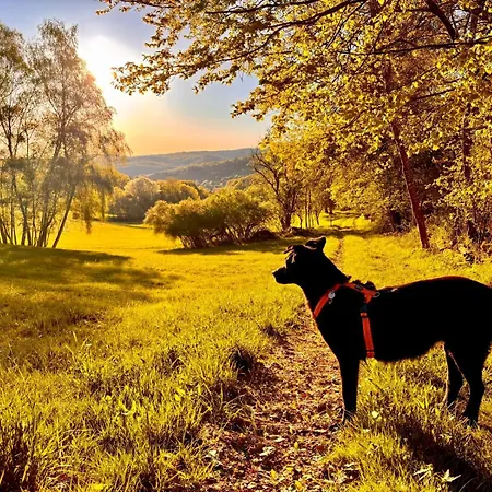 Ubytování v soukromí Schoenes Mit Kueche Und Bad Im Taunus *