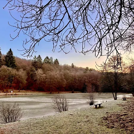 Schoenes Mit Kueche Und Bad Im Taunus * Waldsolms