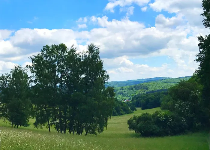 Schoenes Mit Kueche Und Bad Im Taunus Quarto em Acomodações Particulares Waldsolms