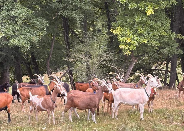 Schoenes Mit Kueche Und Bad Im Taunus Waldsolms