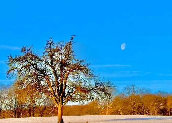 Schoenes Mit Kueche Und Bad Im Taunus *