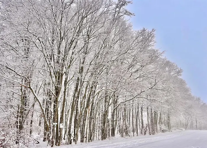 Quarto em Acomodações Particulares Schoenes Mit Kueche Und Bad Im Taunus *