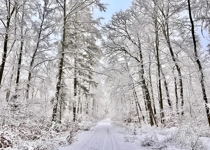 Quarto em Acomodações Particulares Schoenes Mit Kueche Und Bad Im Taunus Waldsolms
